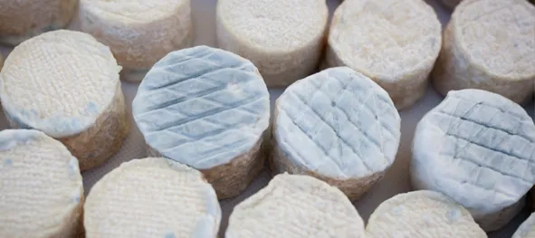 Fromages de chèvres